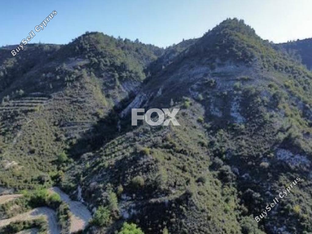 land for sale agios mamas limassol 8112097 image 13264169