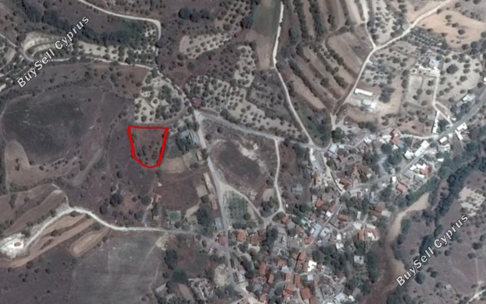 land for sale choulou paphos 8630097 image 15871552