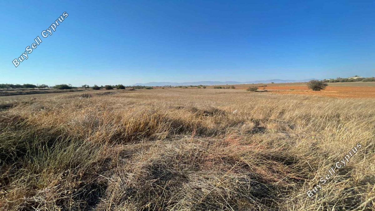 8544 SQM Plot for sale in Agioi Trimithias, Nicosia 16159829