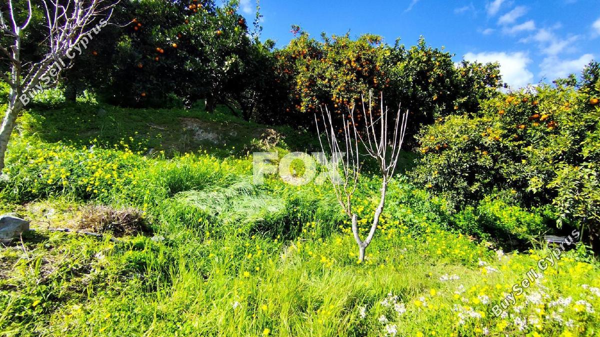 land for sale dierona limassol 7495197 image 9319933