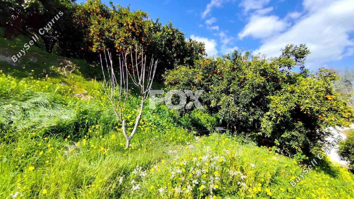 land for sale dierona limassol 7495197 image 9319935