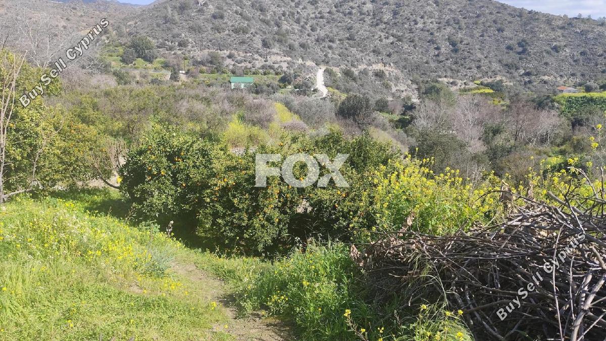 land for sale dierona limassol 7495197 image 9319936