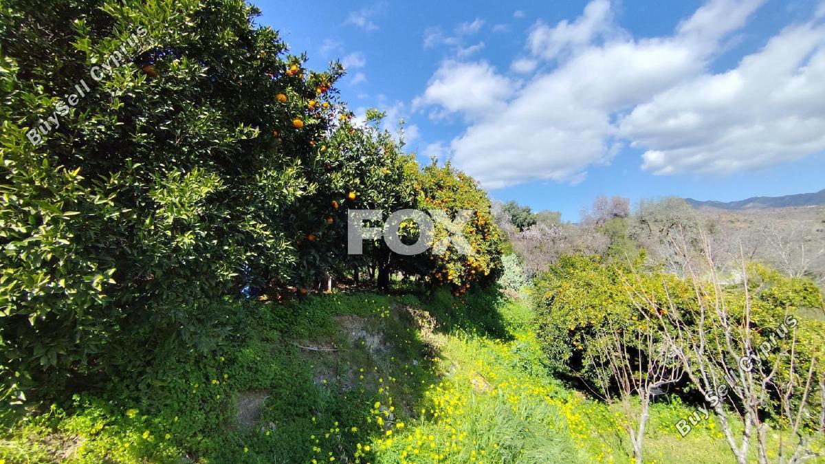 land for sale dierona limassol 7495197 image 9319944