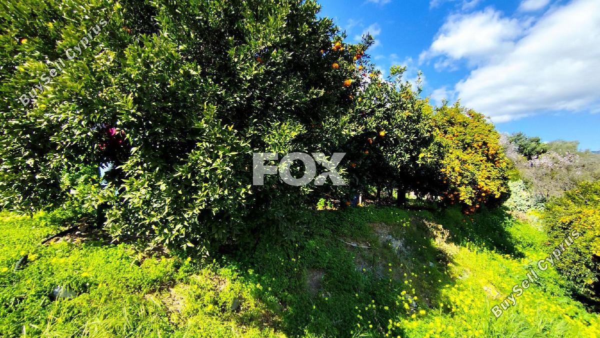 land for sale dierona limassol 7495197 image 9319946
