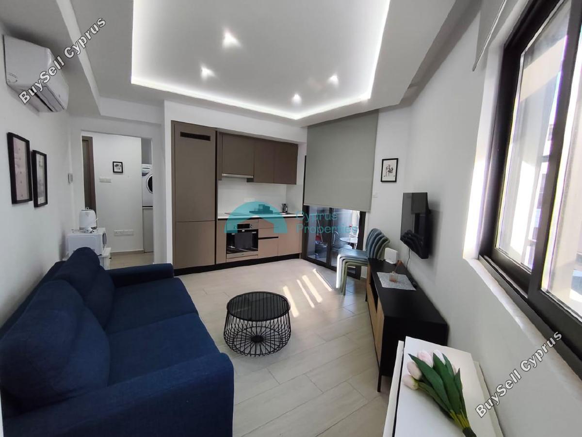1 bedroom apartment for rent larnaca municipality larnaca 8692297 image 16149914