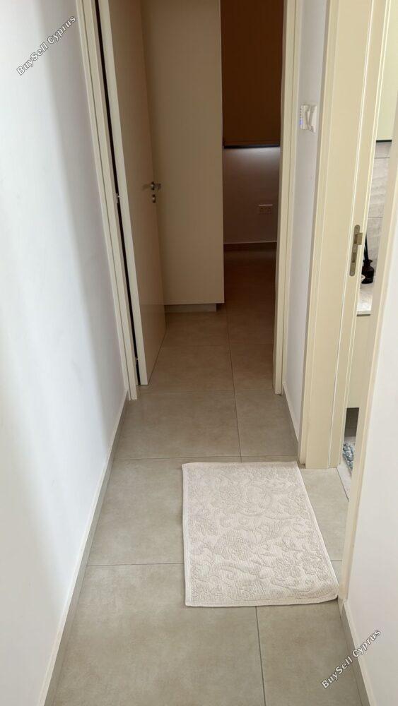 1 bedroom apartment for rent paphos municipality paphos 8759297 image 16536145