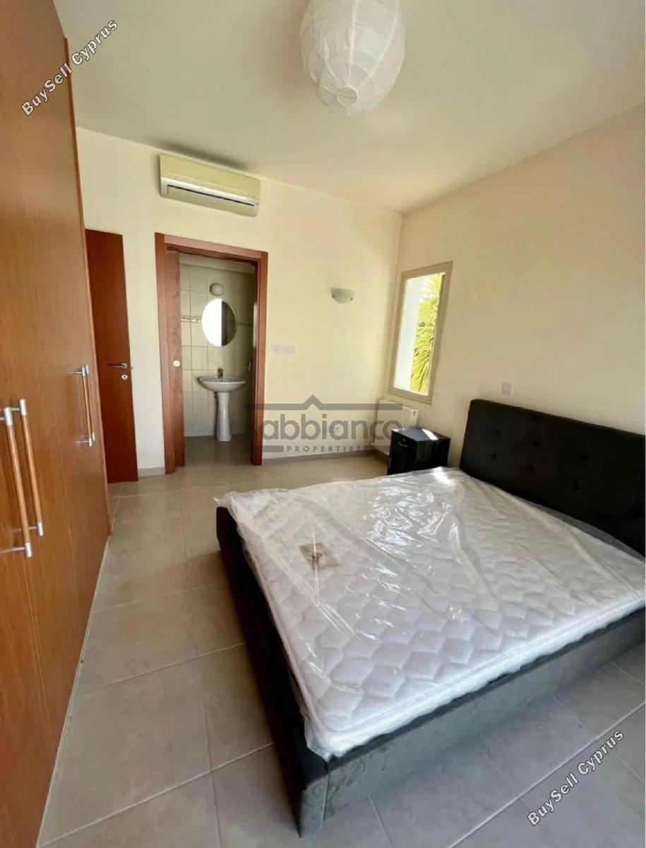 3 bedroom detached house for rent mesa chorio paphos 8737297 image 16354110