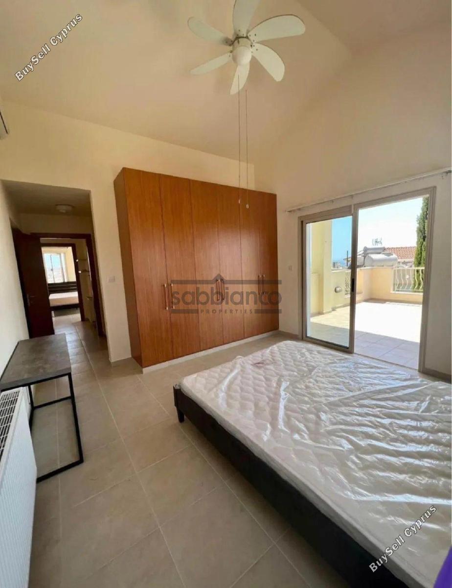 3 bedroom detached house for rent mesa chorio paphos 8737297 image 16354111