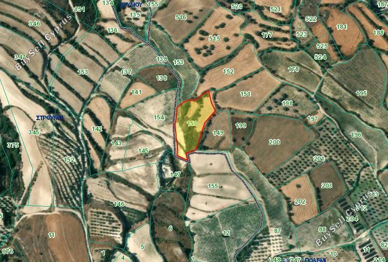 land for sale drynia paphos 8665297 image 16563278