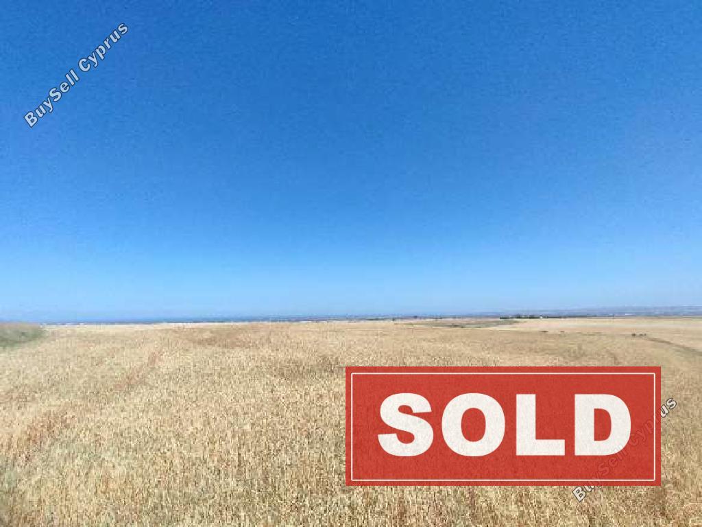 land sold kato koutrafas nicosia 1336297 image 7641301