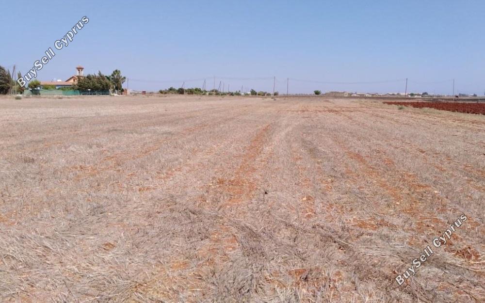 land for sale avgorou famagusta 829397 image 3537573