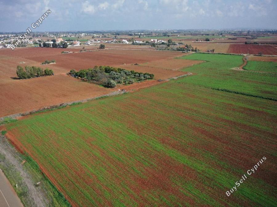 land for sale avgorou famagusta 8630397 image 15873039