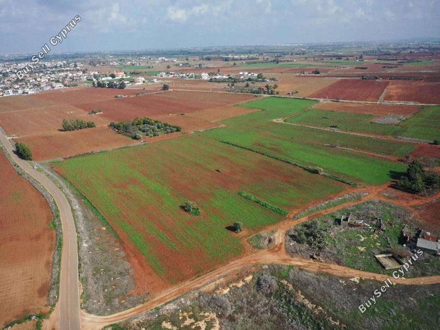 land for sale avgorou famagusta 8630397 image 15873041