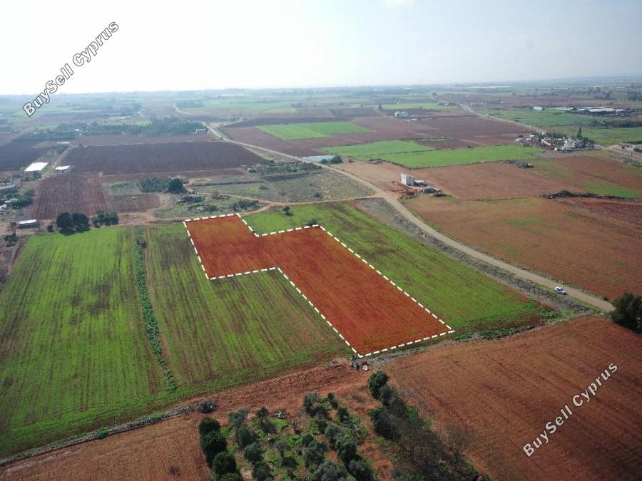 land for sale avgorou famagusta 8630397 image 15873042