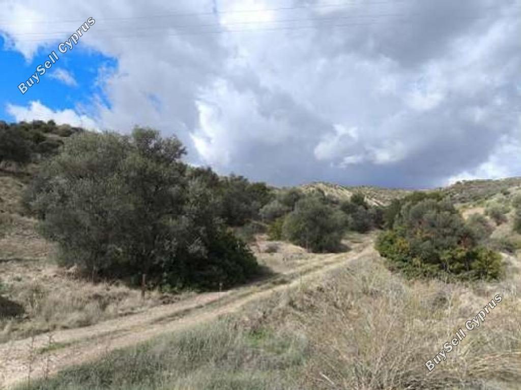 land for sale foini limassol 1721397 image 17420197