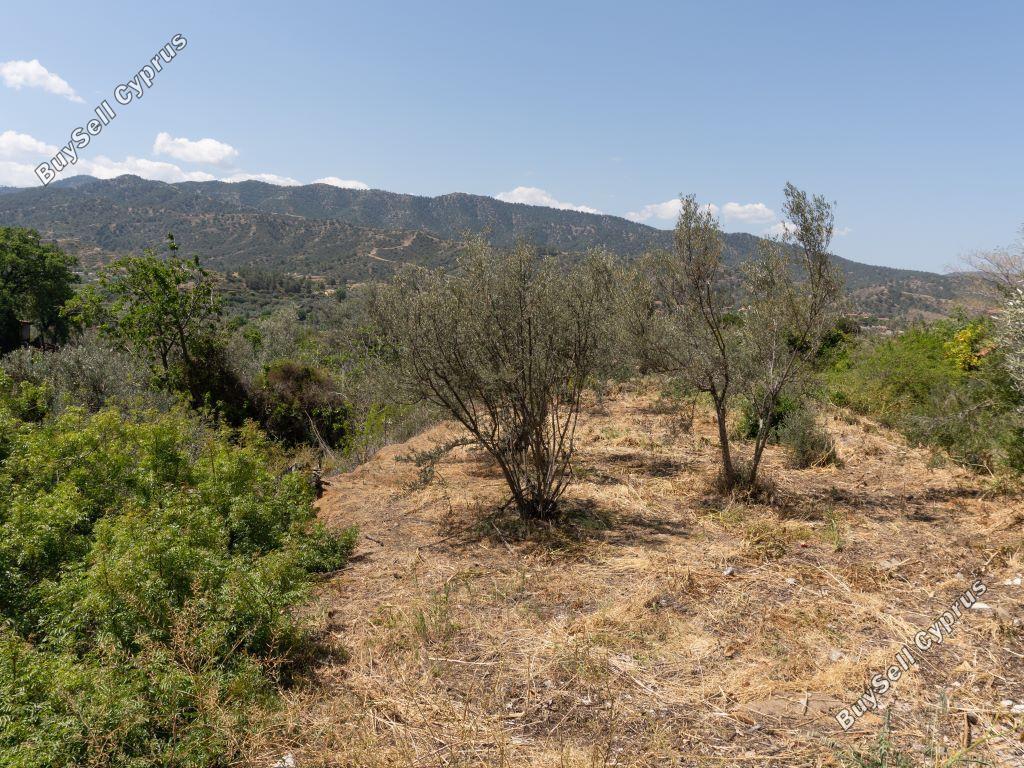 land for sale evrychou nicosia 1158497 image 15602871