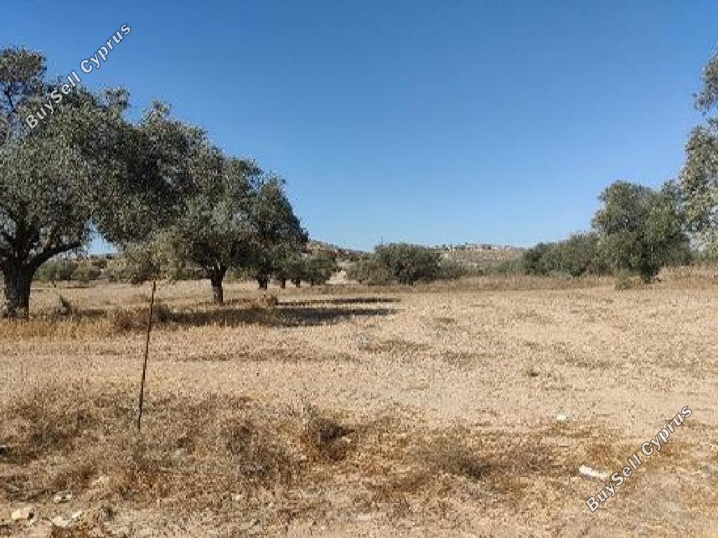 land for sale lympia nicosia 826497 image 17625183