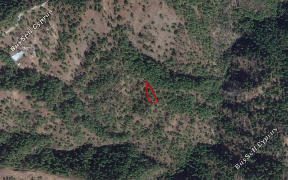 land for sale pigenia nicosia 829497 image 12843163