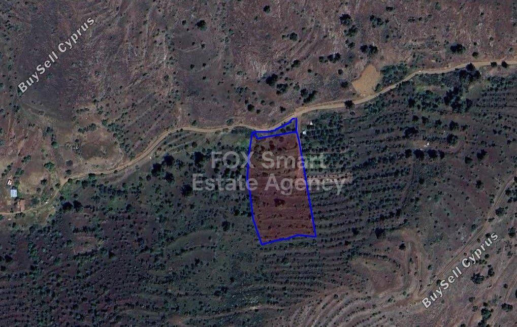 land for sale agios epifanios oreinis nicosia 1446597 image 5195175