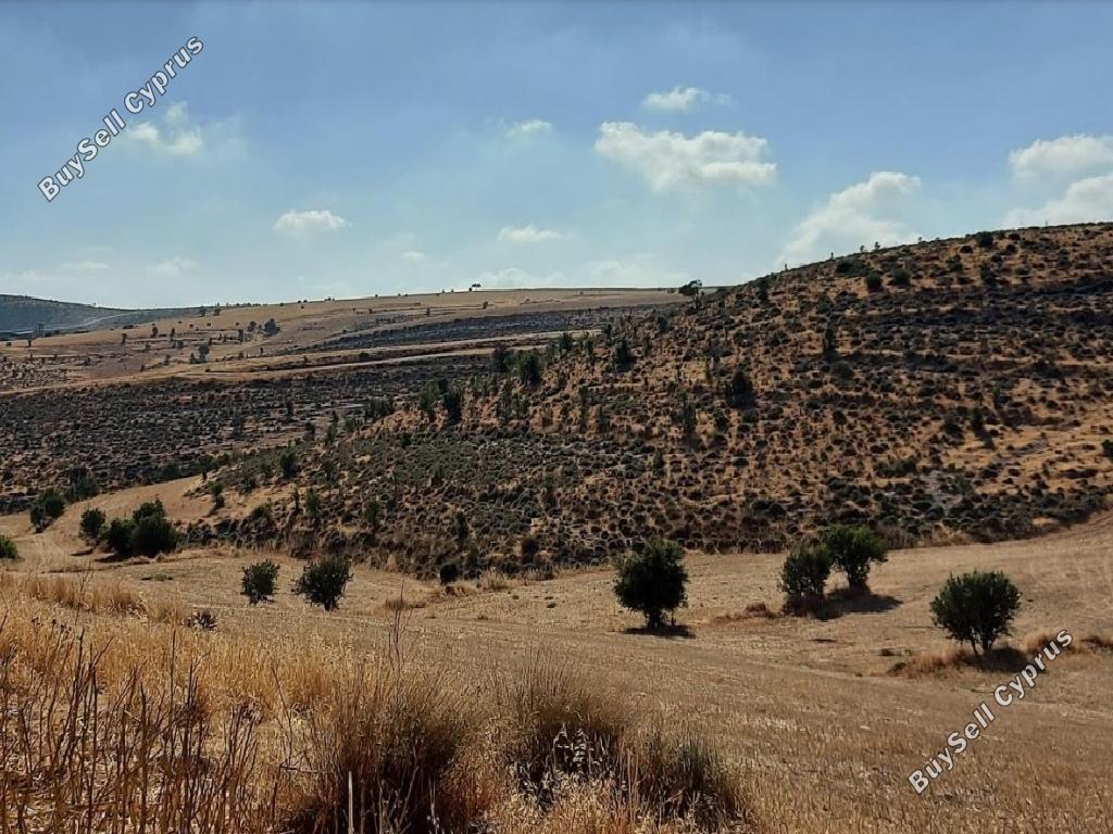 land for sale lympia nicosia 933597 image 3011972