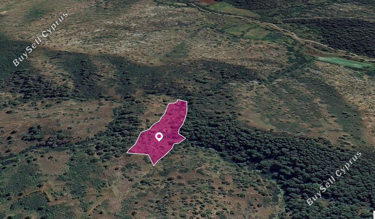 land for sale pigenia nicosia 8629697 image 15869572