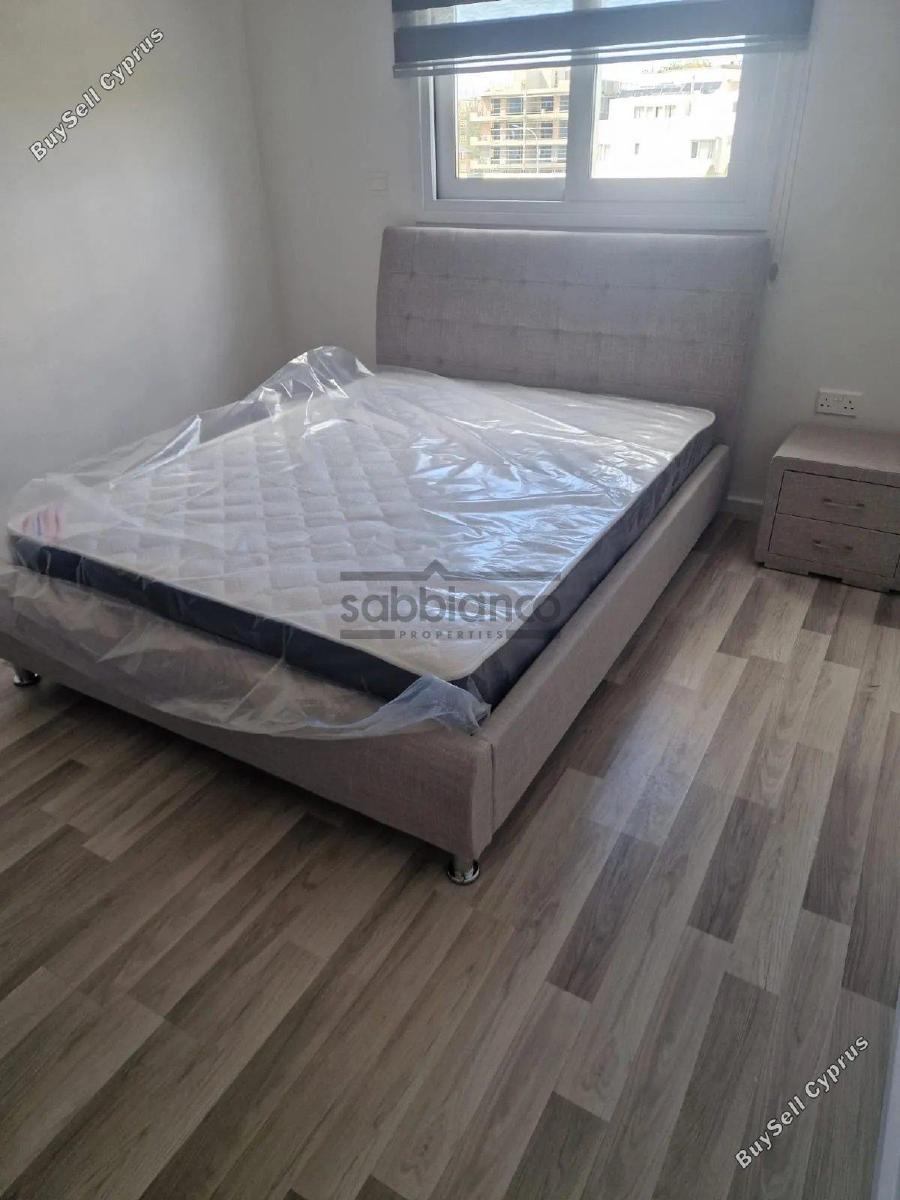 2 bedroom apartment for rent larnaca municipality larnaca 8739797 image 16374889
