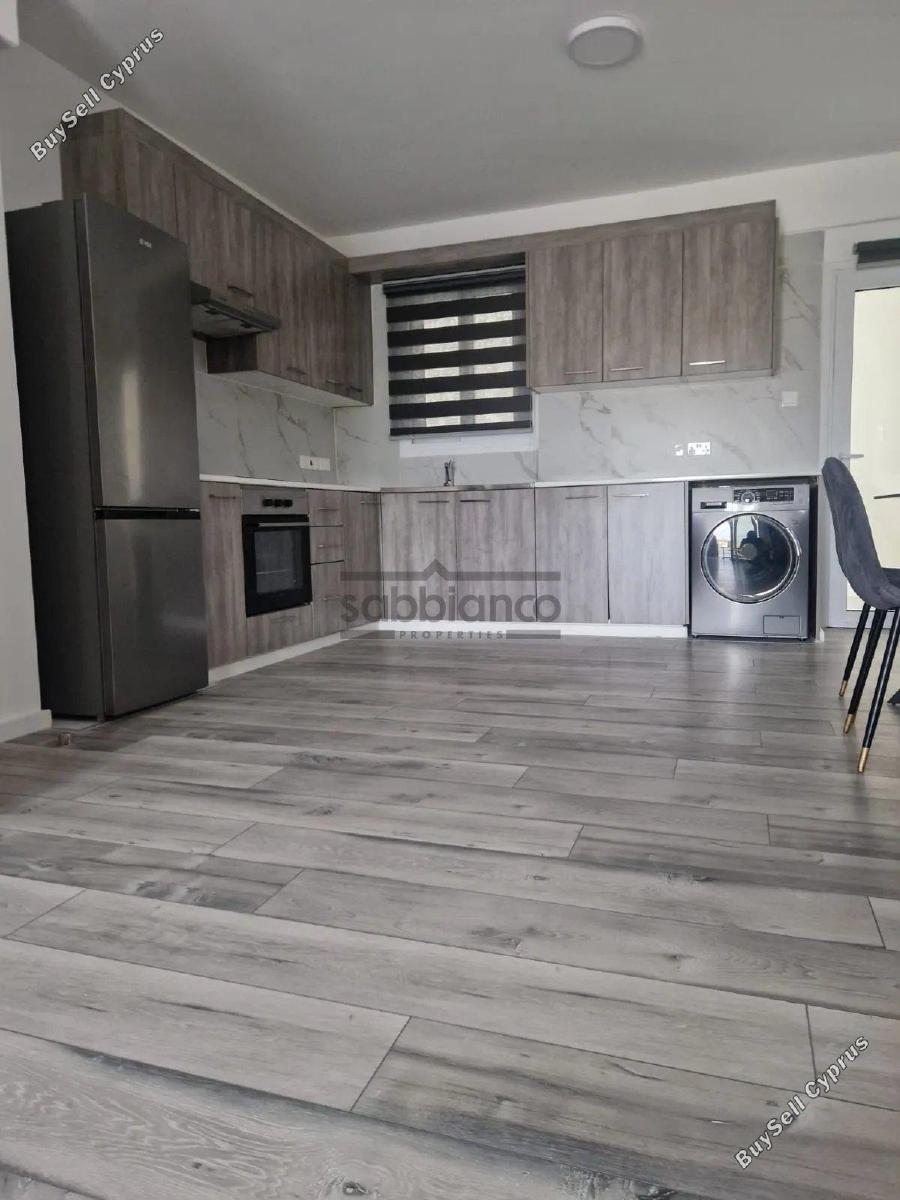 2 bedroom apartment for rent larnaca municipality larnaca 8739797 image 16374891