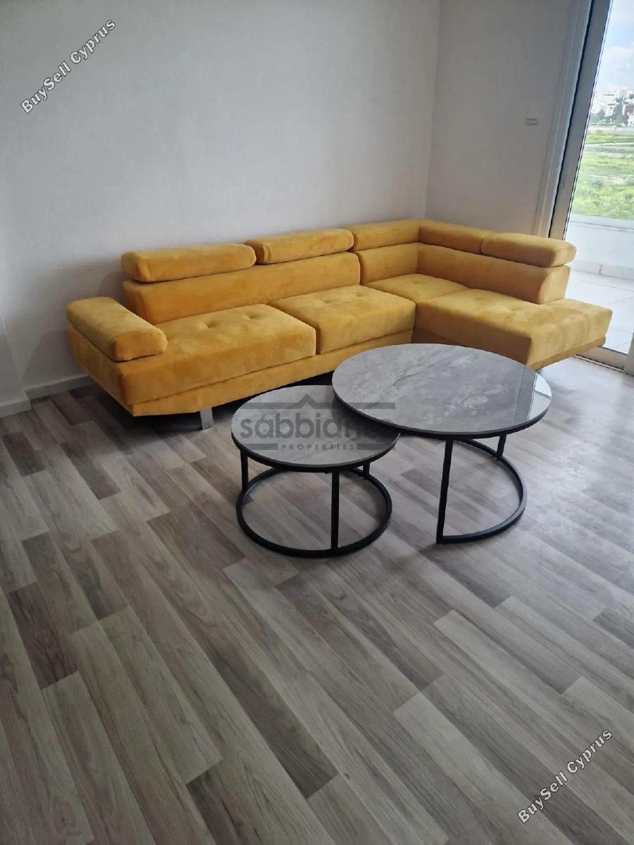 2 bedroom apartment for rent larnaca municipality larnaca 8739797 image 16374892