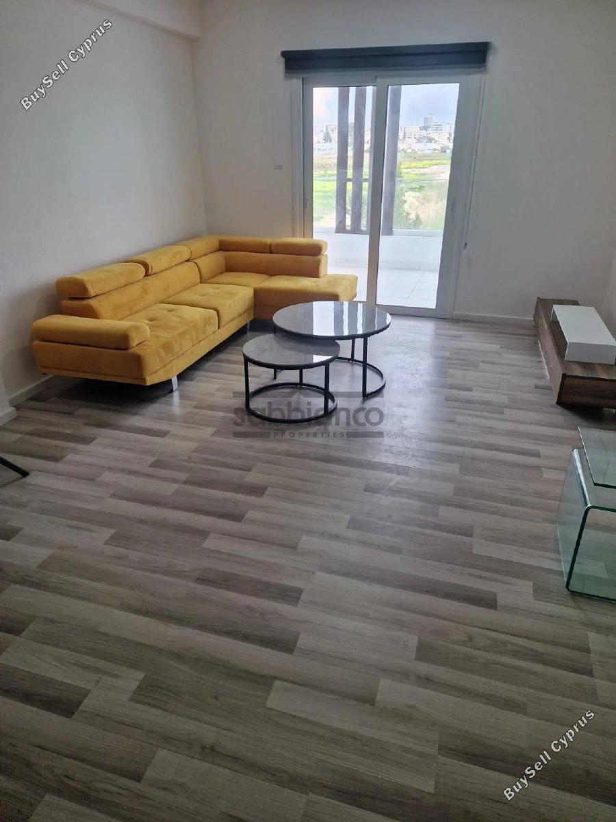 2 bedroom apartment for rent larnaca municipality larnaca 8739797 image 16374894