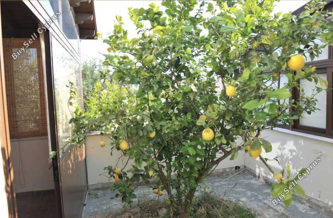 4 bedroom detached house for sale mazotos larnaca 1781797 image 13142421