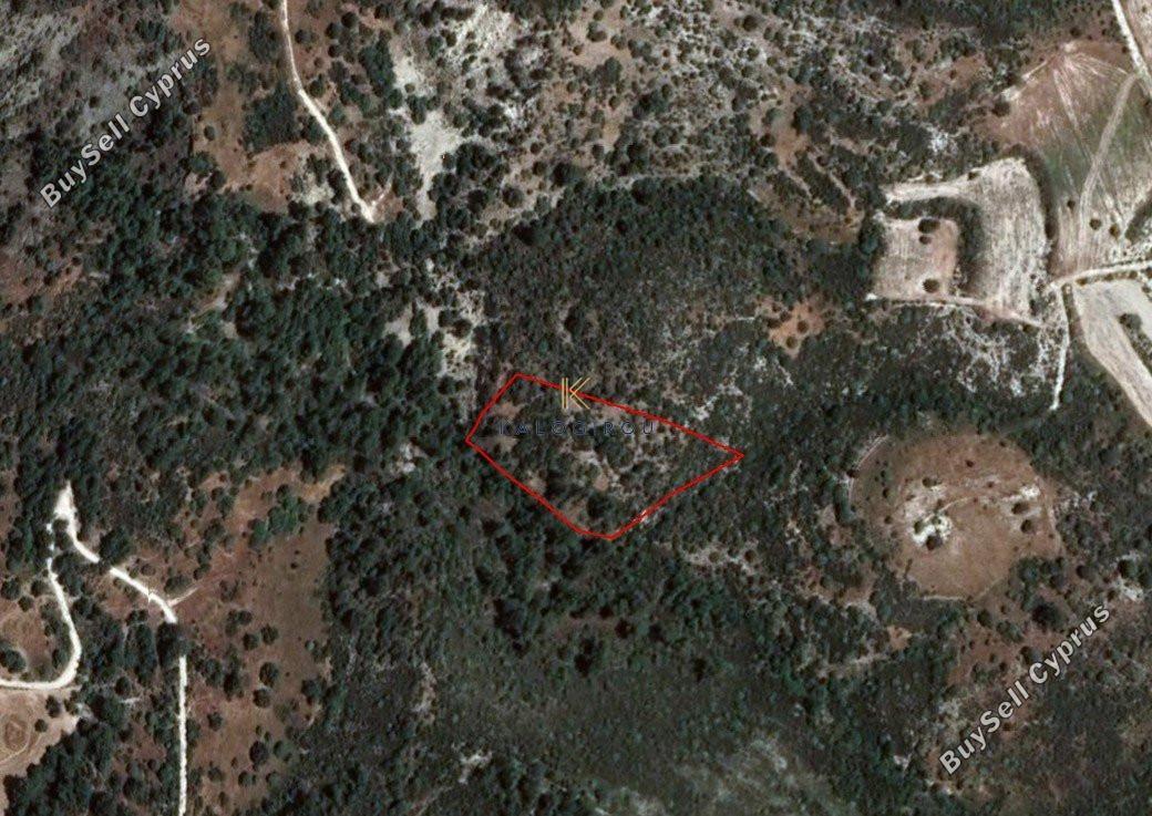 land for sale dora limassol 1194797 image 5570698