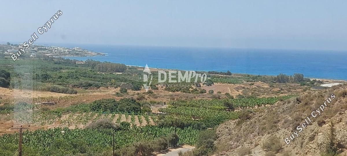 3 bedroom detached house for sale coral bay paphos 7812897 image 12700410