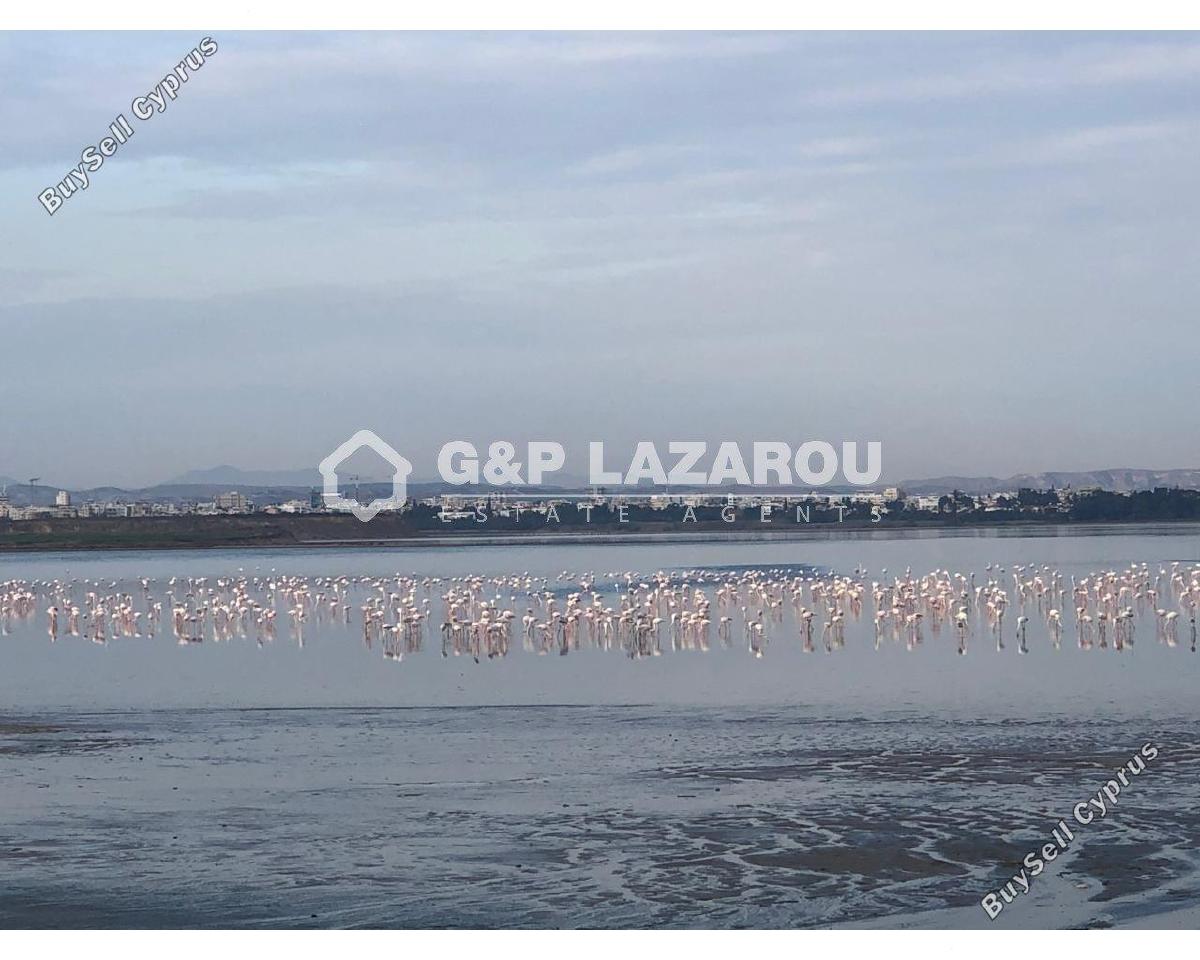 5 bedroom detached house for rent larnaca municipality larnaca 1609897 image 5483629