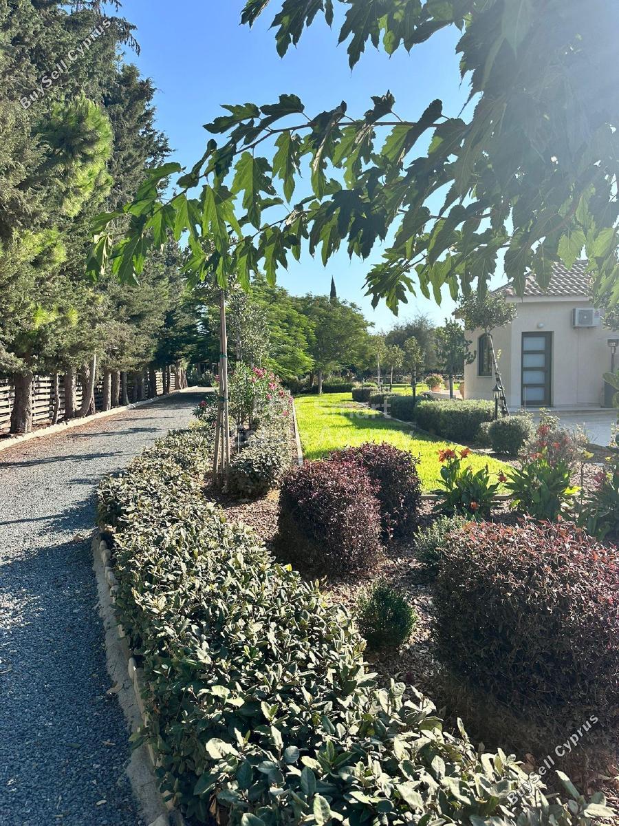 7 bedroom detached house for sale kiti larnaca 1938897 image 9259031