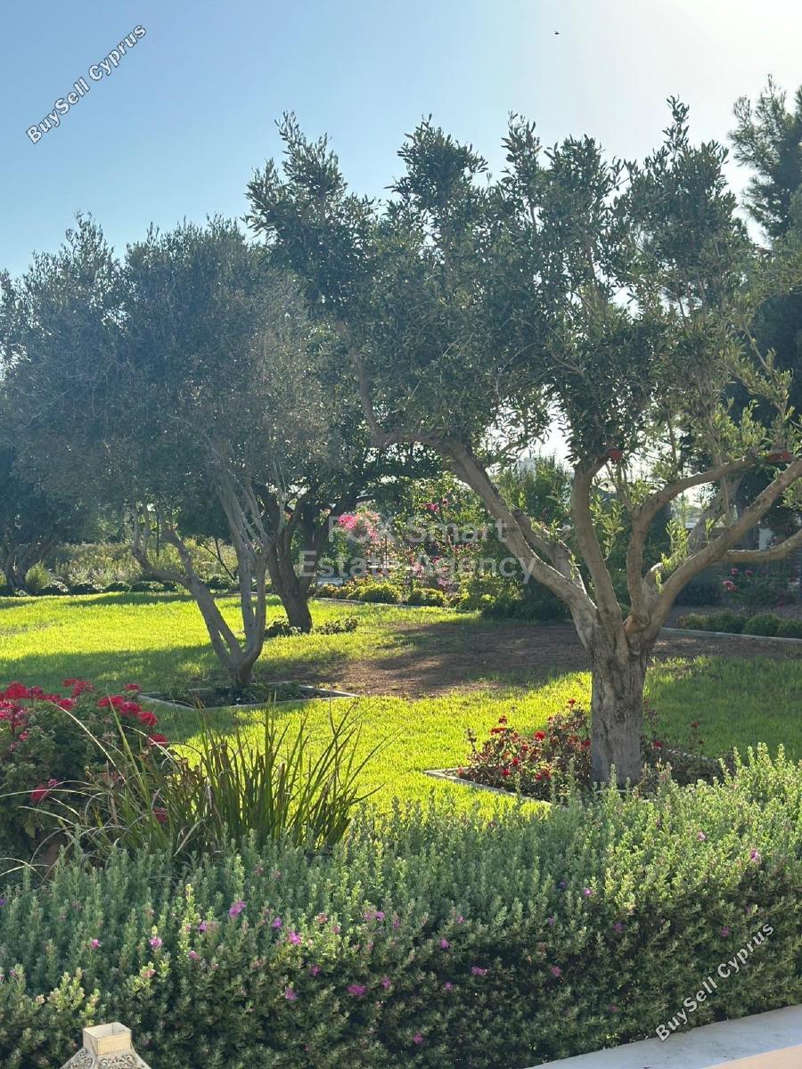 7 bedroom detached house for sale kiti larnaca 1938897 image 9259033