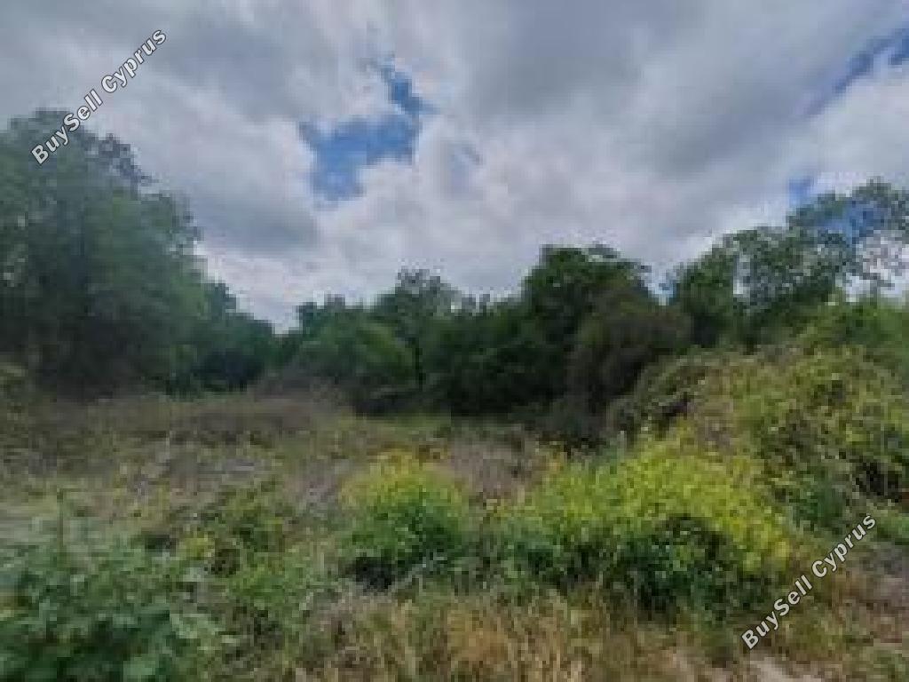 land for sale drimou paphos 8664897 image 17009138