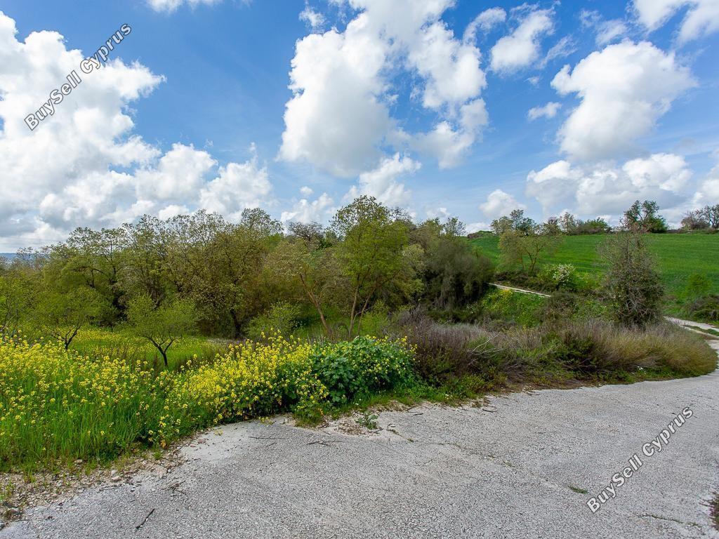land for sale drimou paphos 8664897 image 17009140