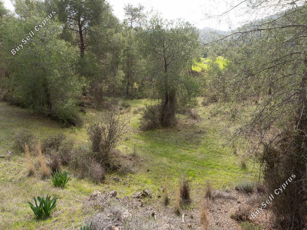 land for sale mitsero nicosia 945897 image 6814754
