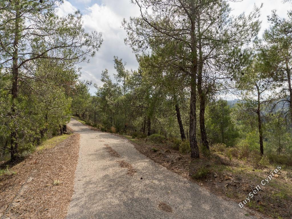 land for sale mitsero nicosia 945897 image 6814758