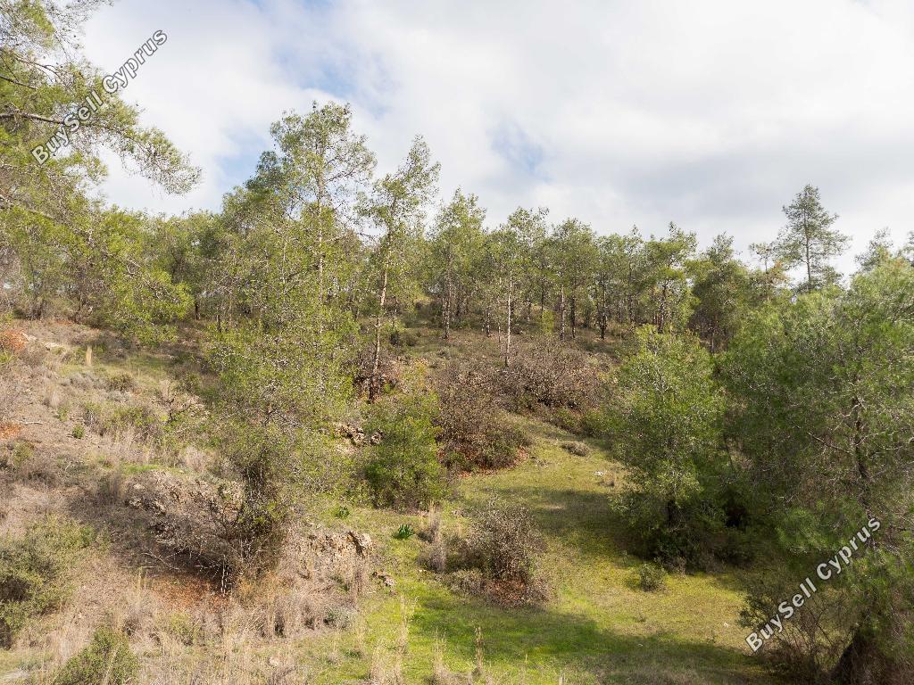 land for sale mitsero nicosia 945897 image 7640935