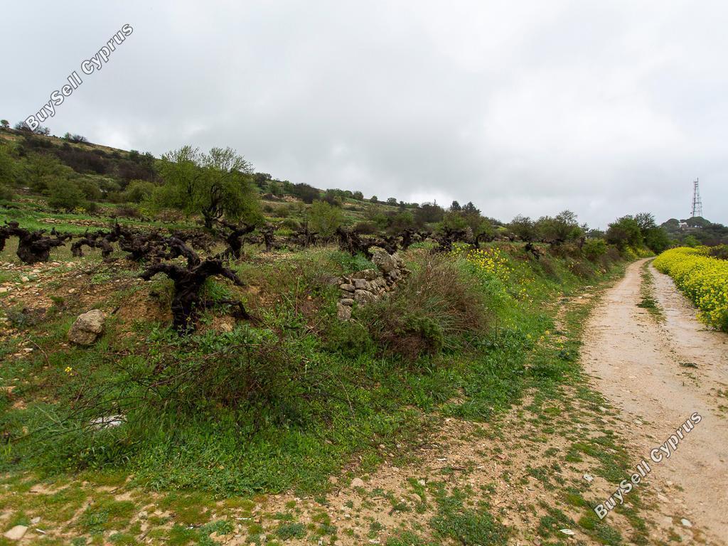 land for sale pachna limassol 8433897 image 15594714