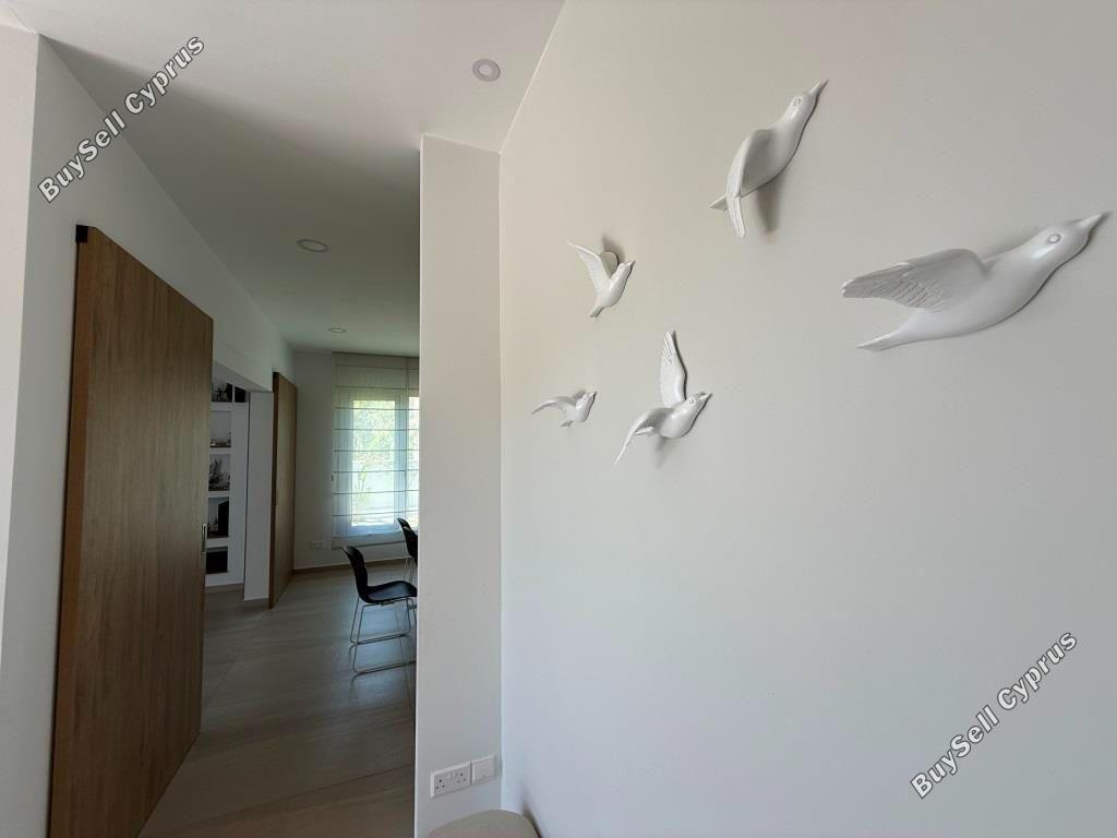 4 bedroom detached house for sale mosfiloti larnaca 8624997 image 15837355