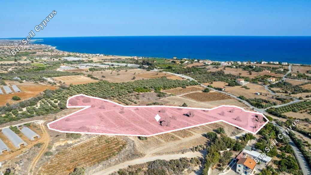 land for sale agios theodoros larnacas larnaca 8338997 image 14356331