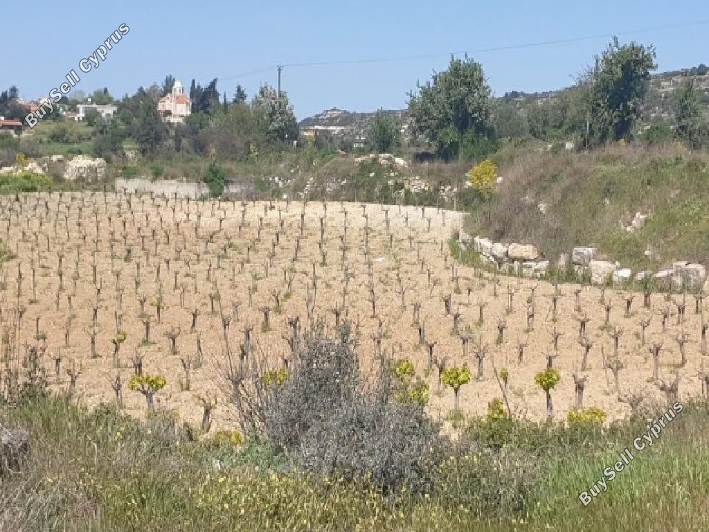 land for sale pachna limassol 1341997 image 15600414