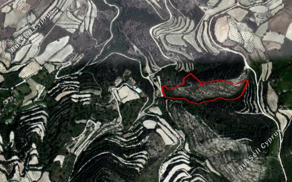 land for sale koili paphos 828008 image 15177693
