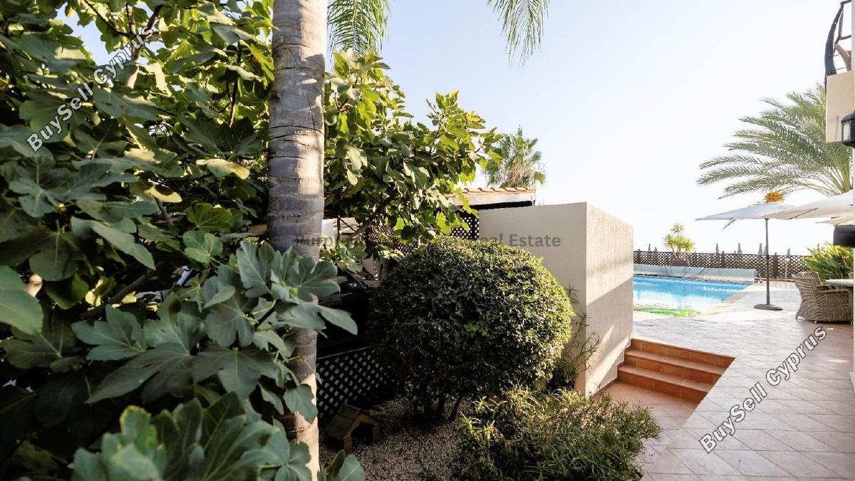 3 bedroom detached house for sale tala paphos 7545108 image 14910459