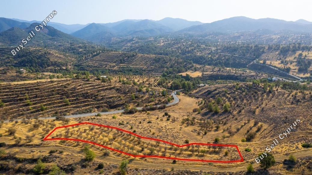 land for sale agia marina xyliatou nicosia 8255108 image 15421008