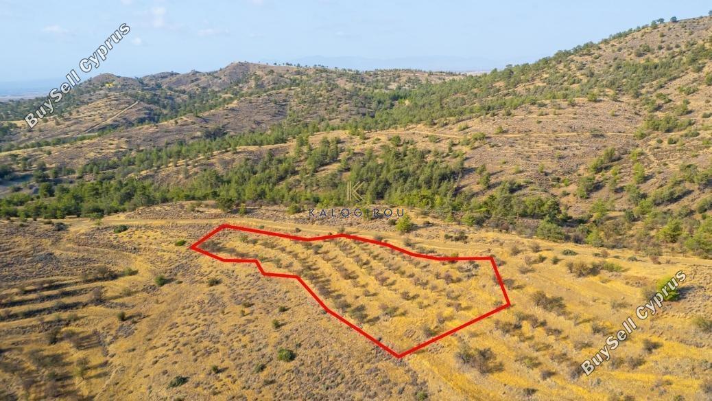 land for sale agia marina xyliatou nicosia 8255108 image 15421009