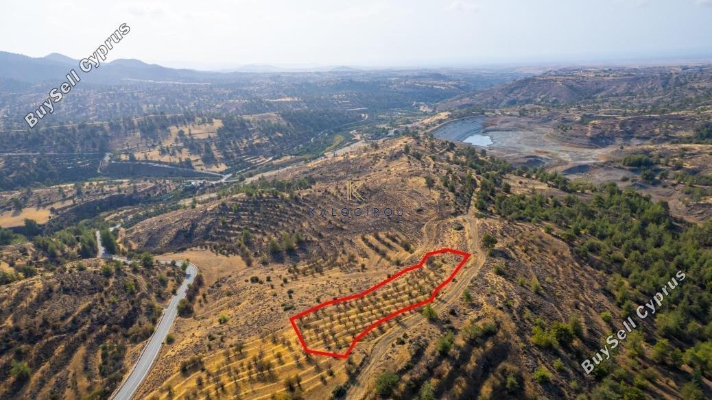land for sale agia marina xyliatou nicosia 8255108 image 15421010