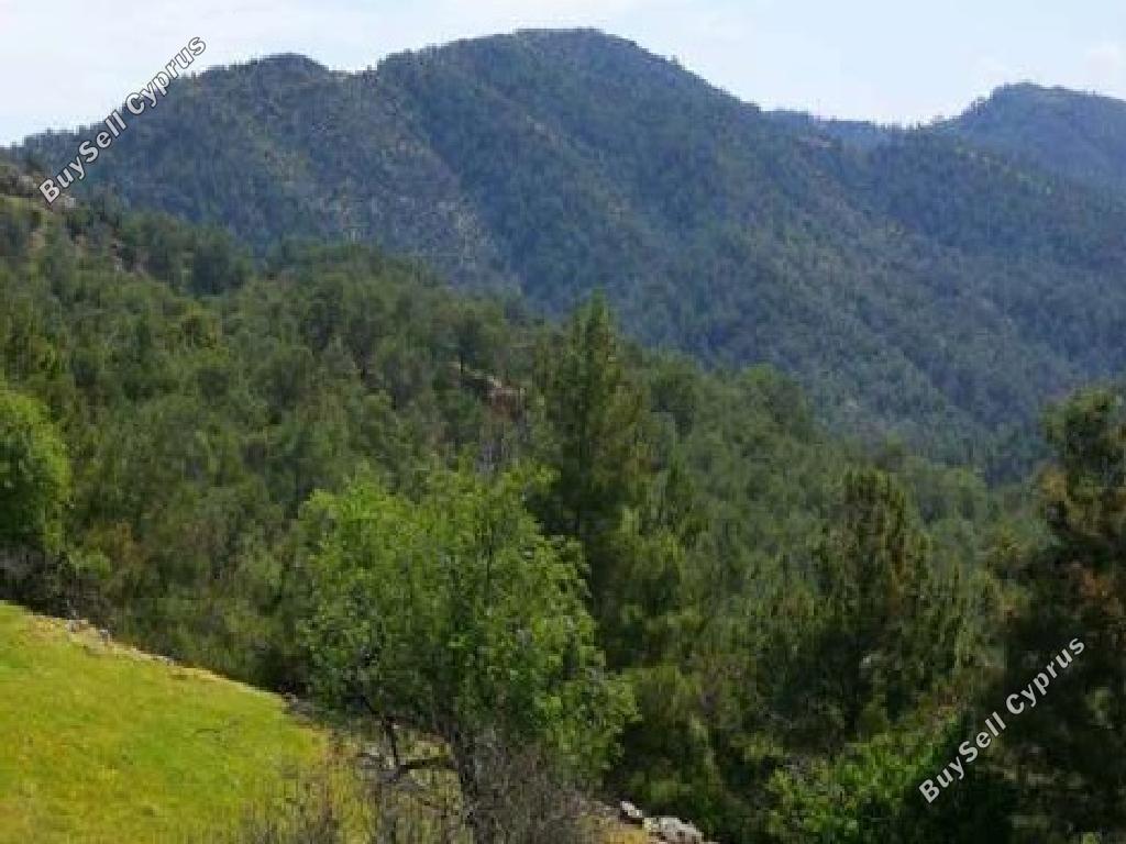 land for sale pigenia nicosia 1369108 image 6814749